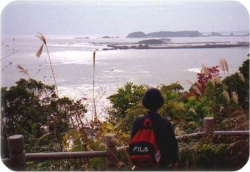 展望台から三輪崎の海を見る