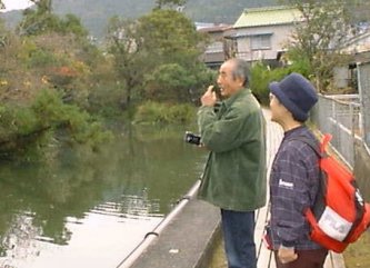 浮島の森