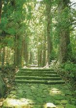 熊野古道・大門坂